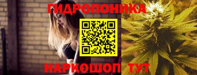 apvp Тара