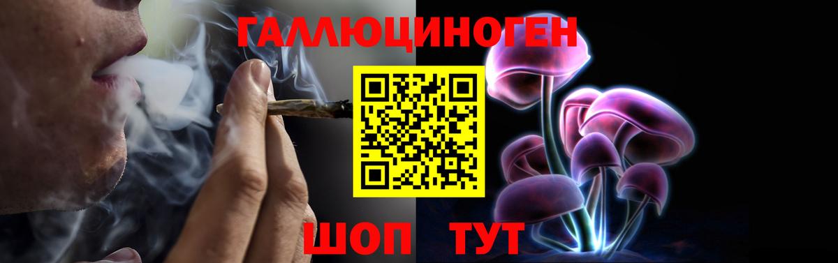 Воткинск  Псилоцибиновые грибы прущие грибы  Вход с VPN 